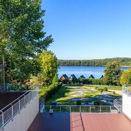 Schneeeule 208 Granzow